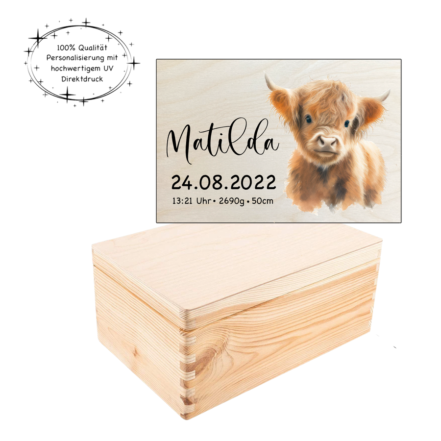 Erinnerungsbox Hochlandrind